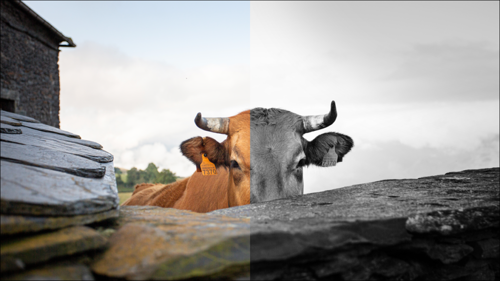 Cách thêm cài đặt sẵn của Lightroom vào Photoshop